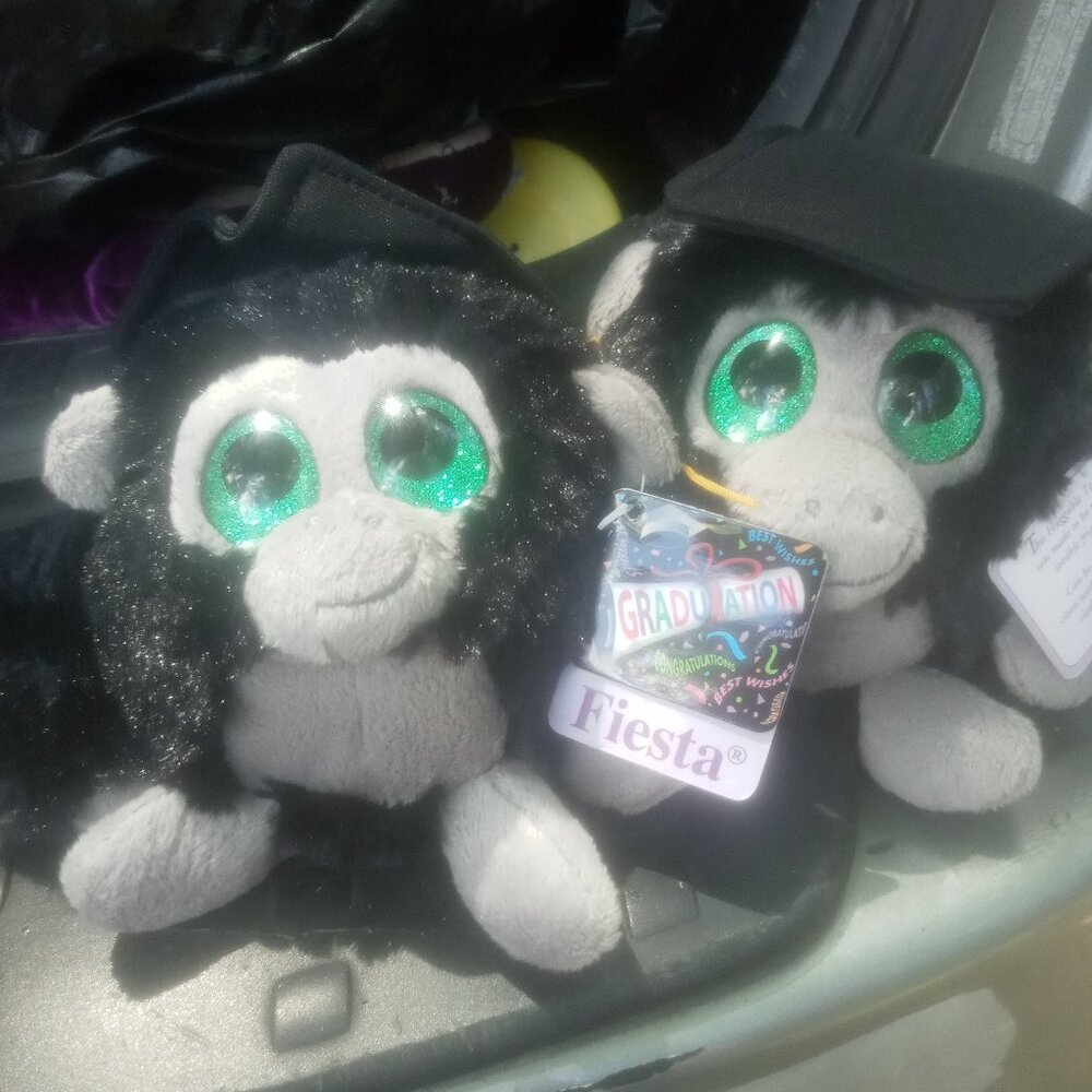 Graduation bear
